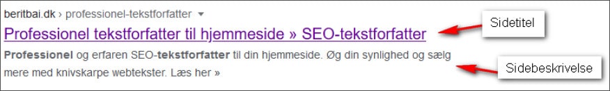 Eks. title og meta description i Google SERP. beritbai.dk