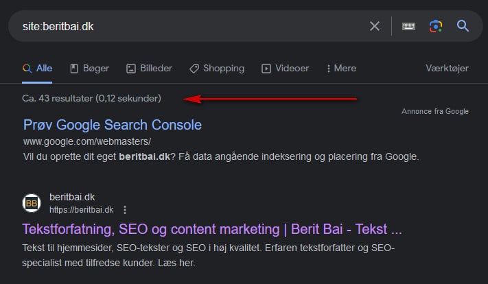 site-søgning. Viser om din hjemmeside er synlig på Google. beritbai.dk