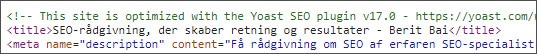 HTML title tag. SEO sidetitel vist i kildekoden. Berit Bai