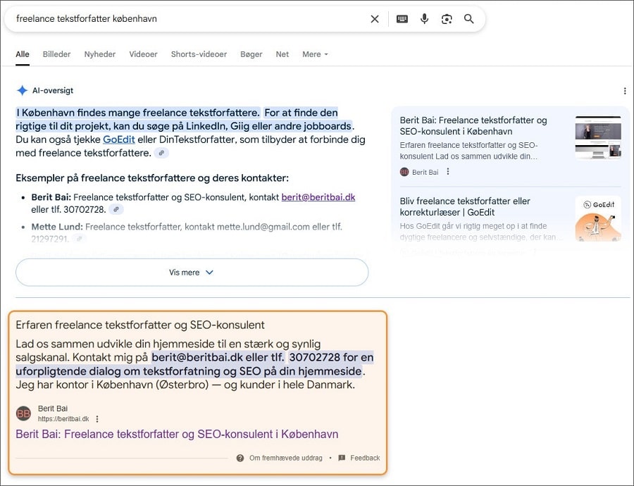 Screenshot af et AI-overview i Googles søgeresultat. Berit Bai